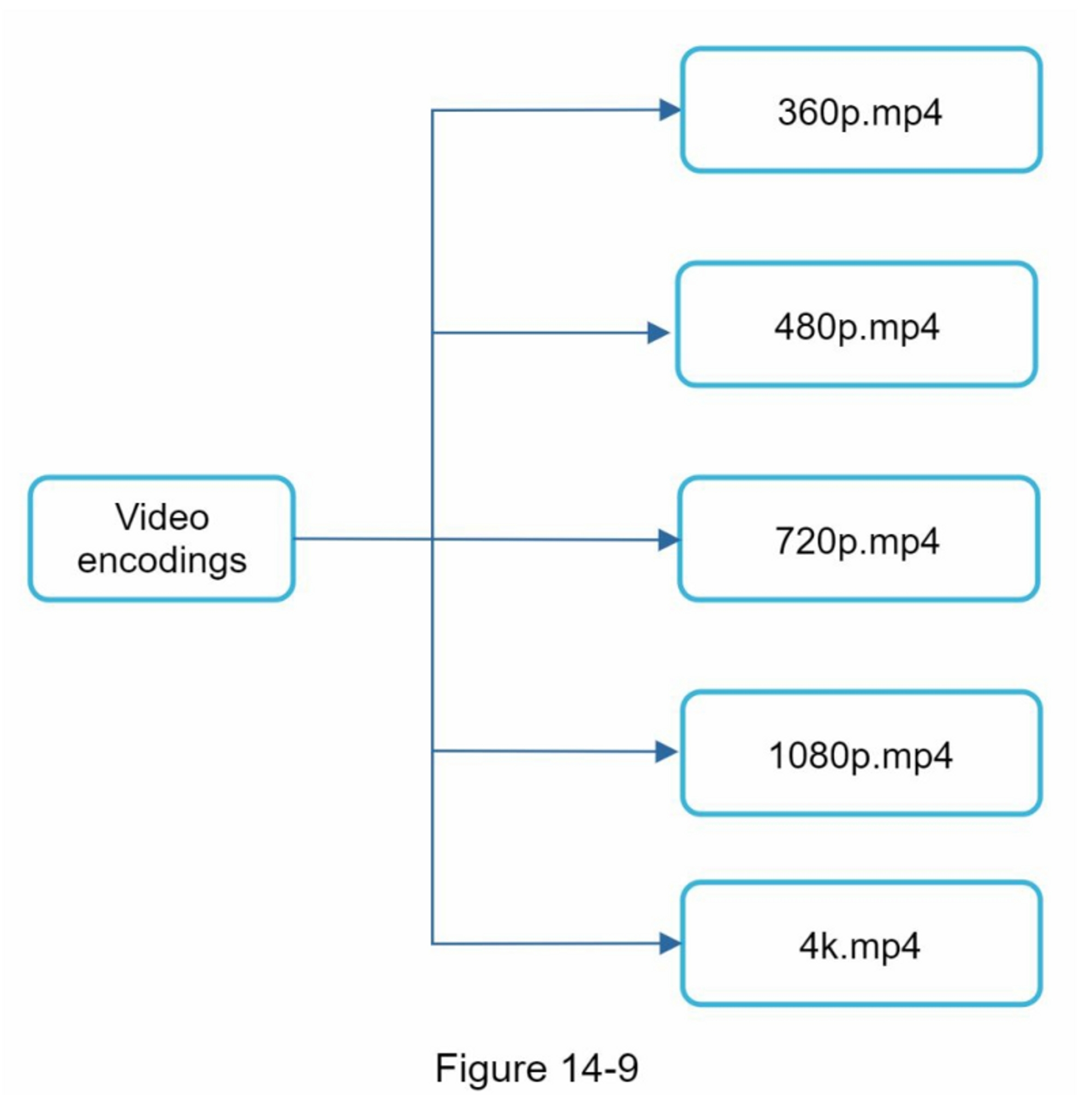 figure 14-9 encoded video files